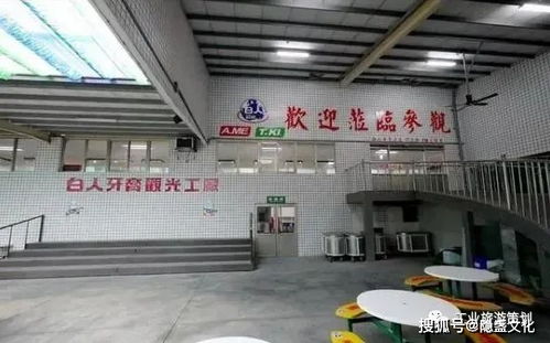牙好，胃口就好——白人牙膏观光工厂的独特旅游体验